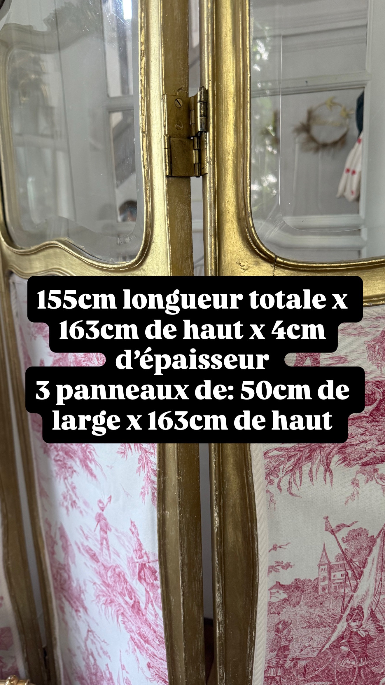 Grand paravent ancien – Image 15