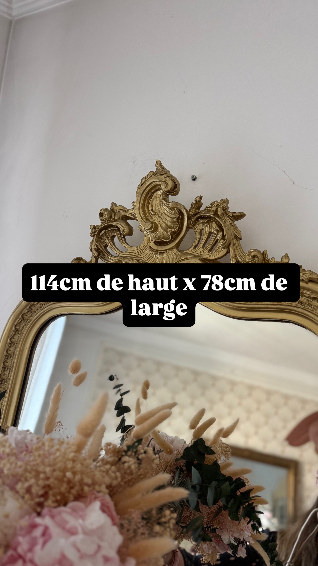 Miroir rocaille 19eme Joséphine – Image 2